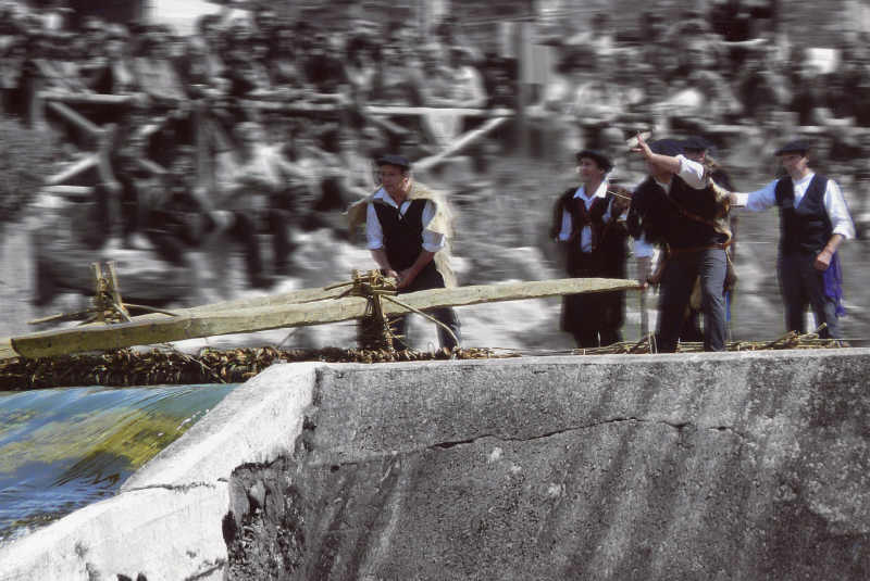 finalista_javier_yarnoz_5