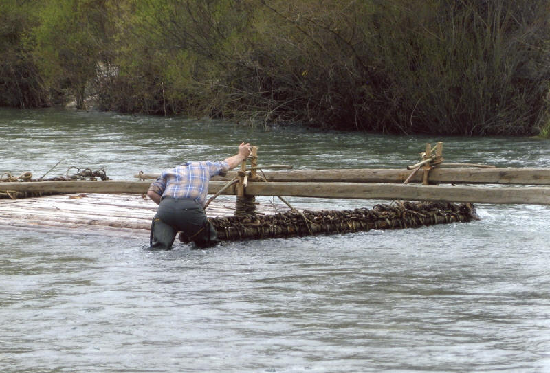 itziar_borruel_2_-_finalista