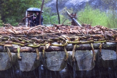 javier_yarnoz_-_finalista