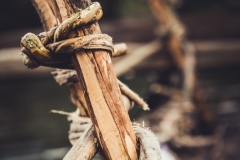 2_alaitz_ruiz_-_la_belleza_de_los_detalles