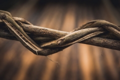 alaitz_ruiz_-_la_belleza_de_los_detalles1