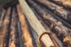 alaitz_ruiz_-_la_belleza_de_los_detalles3